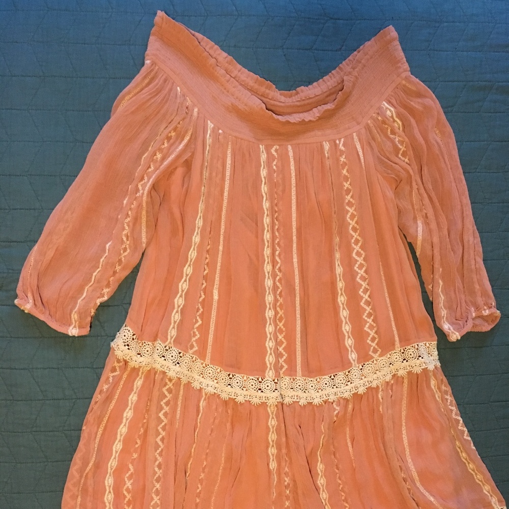 ANTHROPOLOGIE Floreat Orchard Lace Dress Size L